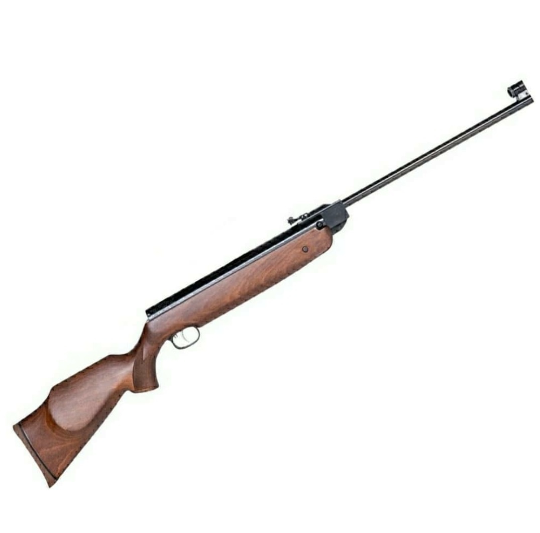  تفنگ بادی وایرخ 80 