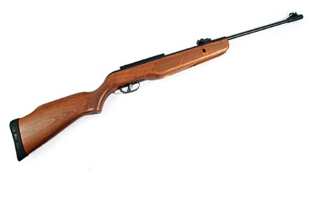  تفنگ بادی گامو هانتر سی اس ای 