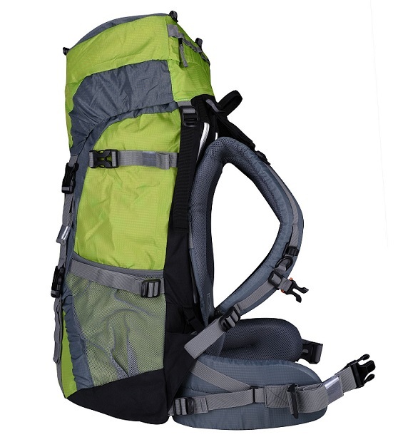  کوله پشتی نورث فیس 65 لیتری 