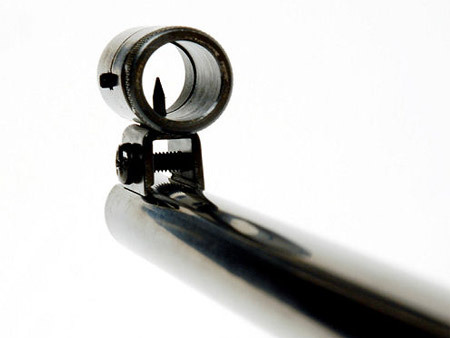  تفنگ بادی دیانا 36 