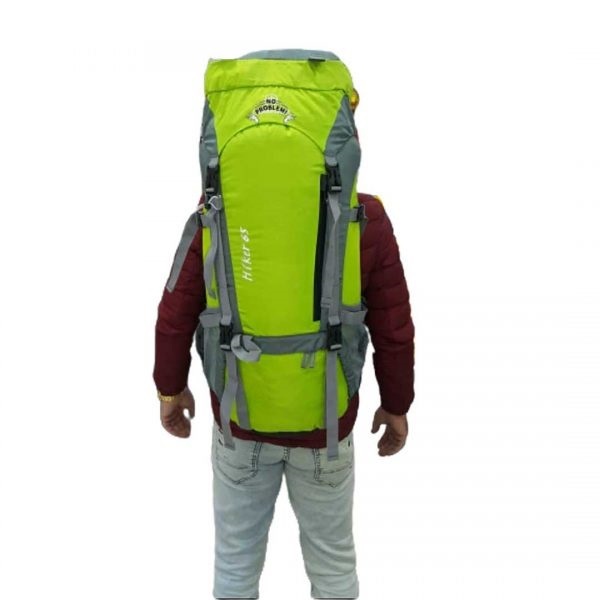  کوله پشتی نورث فیس 65 لیتری 