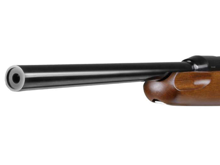  تفنگ بادی ایر آرمز پرو اسپرت 