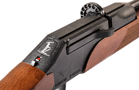  تفنگ پی سی پی دیانا پی 1000 تی اچ 